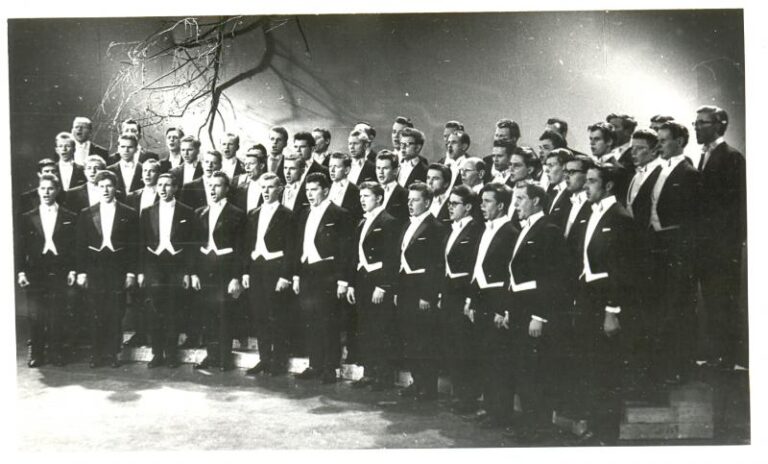 E.Dārziņa dziesmas LTV